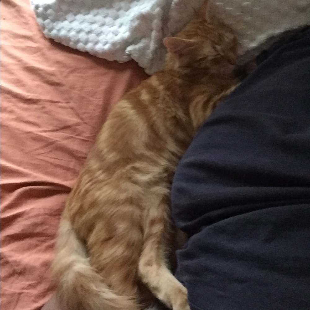 Meet your Posher, Ida